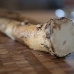 Fermented Horseradish