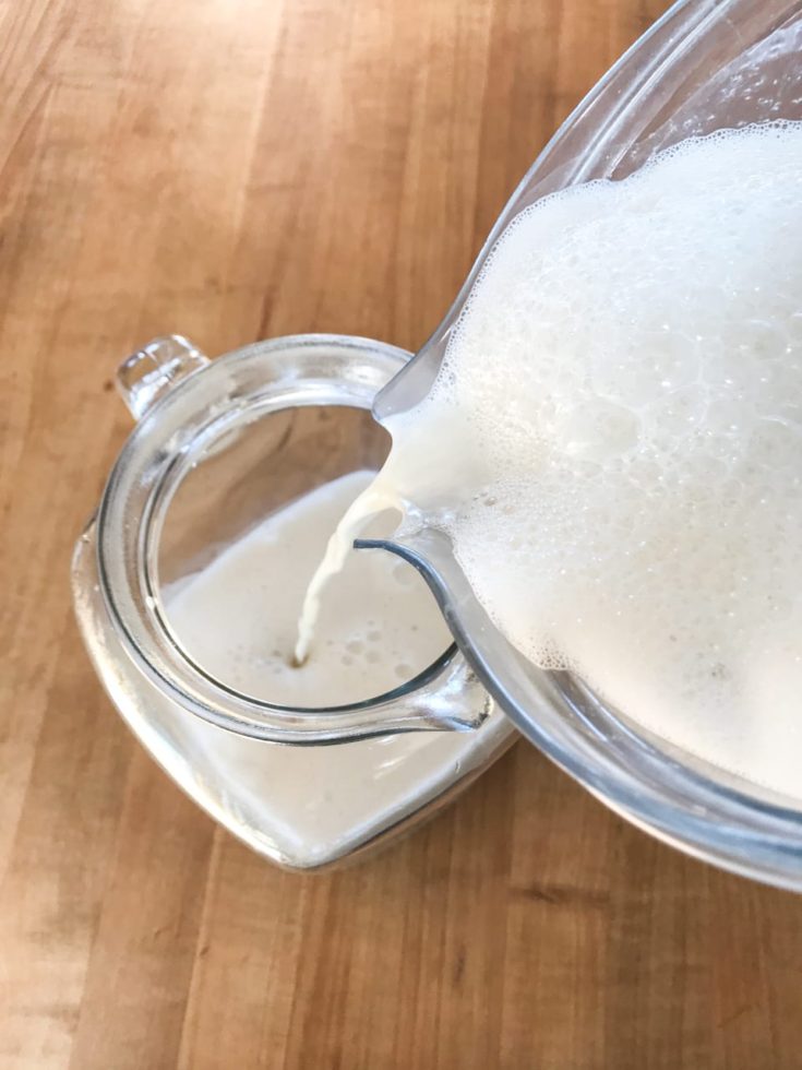 Fermented Cashew Milk | Fermentation Recipe