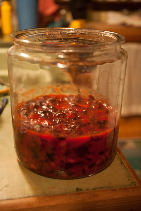Fresh Fruit Kombucha (plum) | Fermentation Recipe